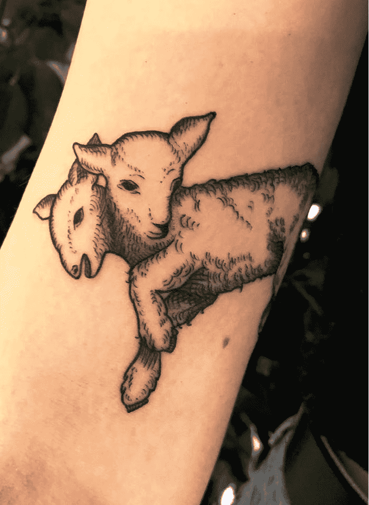 Sheep Tattoo Photo