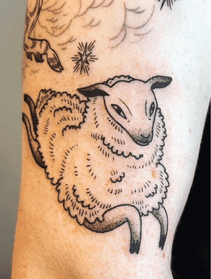 Sheep Tattoo Photograph