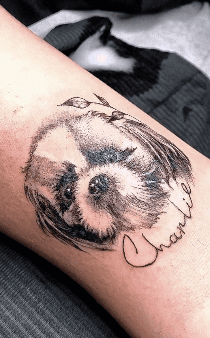 Small Dog Tattoo Photos