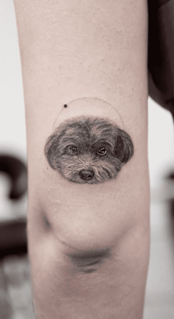 Small Dog Tattoo Shot