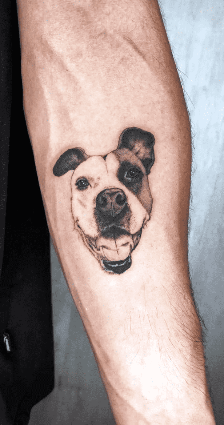 Small Dog Tattoo Photo