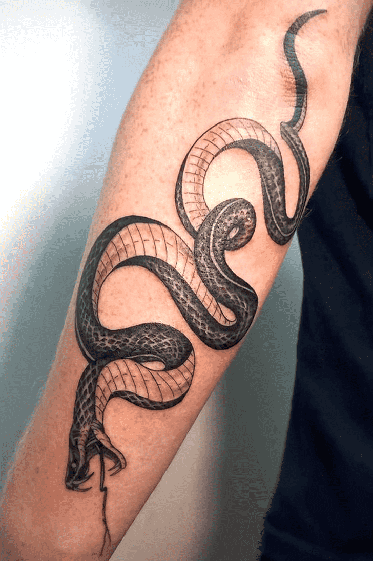 Snake Tattoo Picture