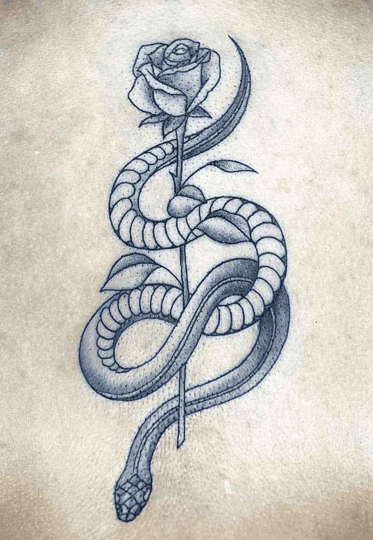 Snake Tattoo Photos
