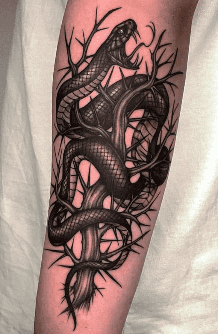 Snake Tattoo Shot