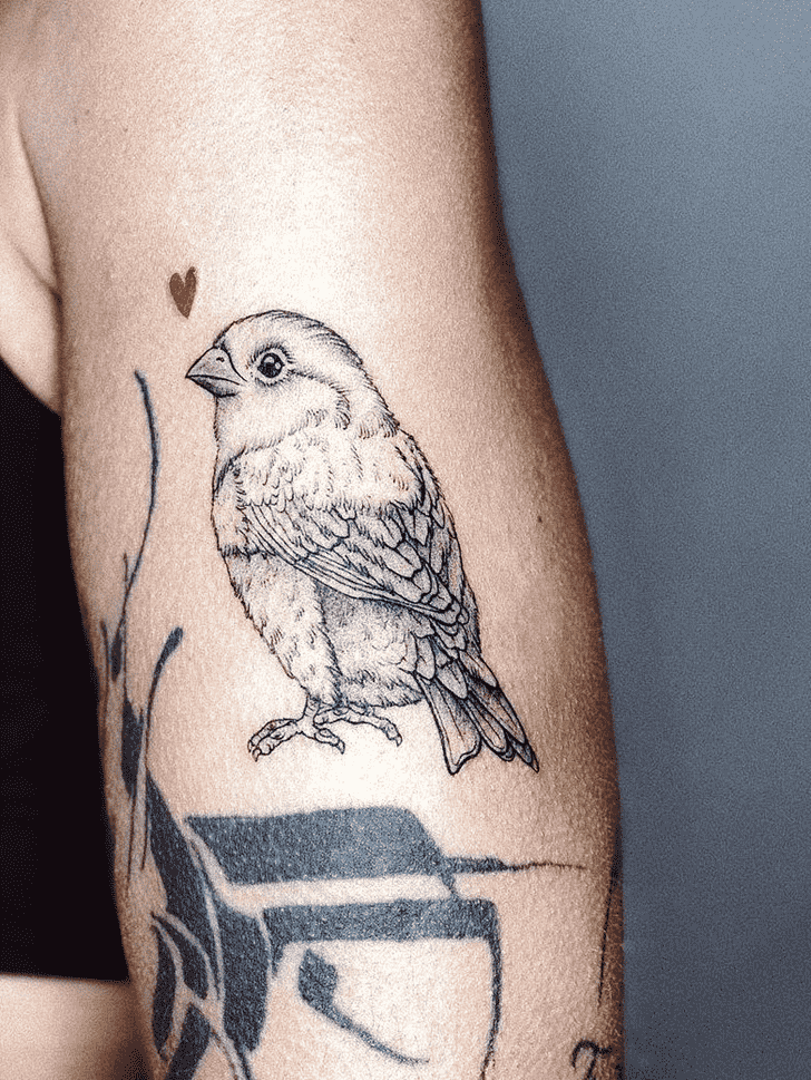 Sparrow Tattoo Portrait