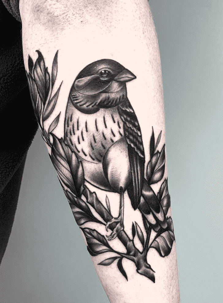 Sparrow Tattoo Photo