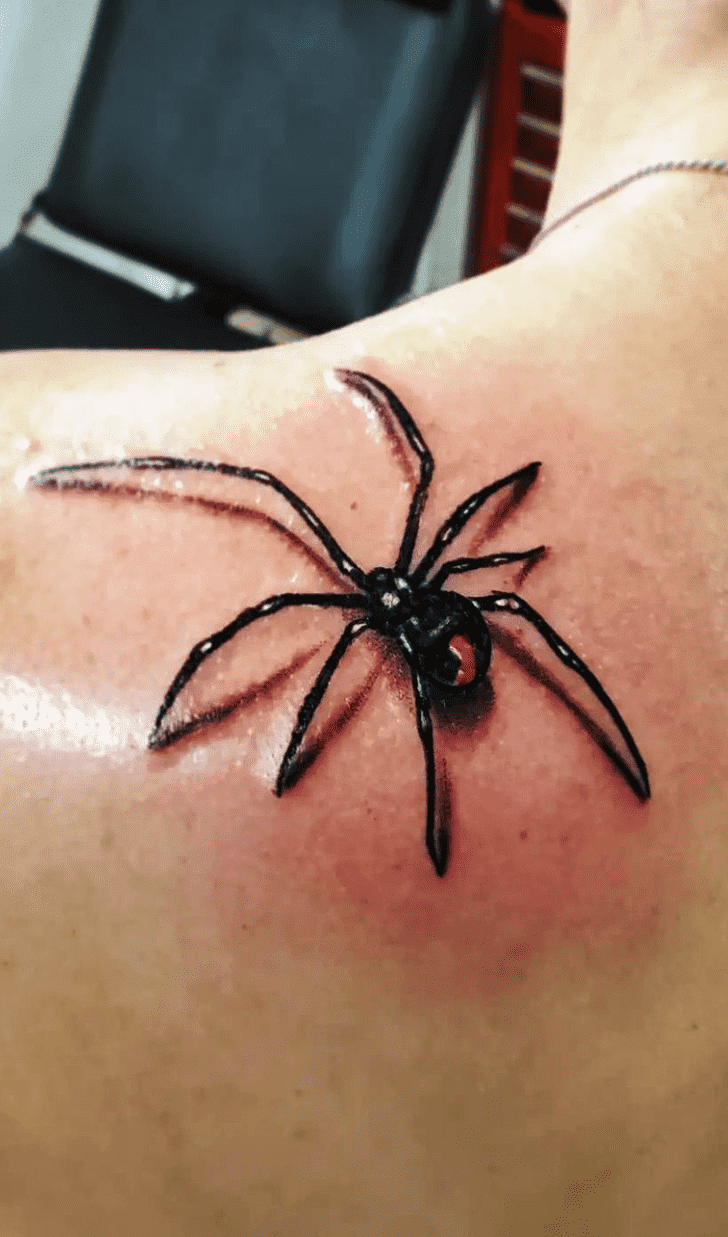 Spider Tattoo Picture