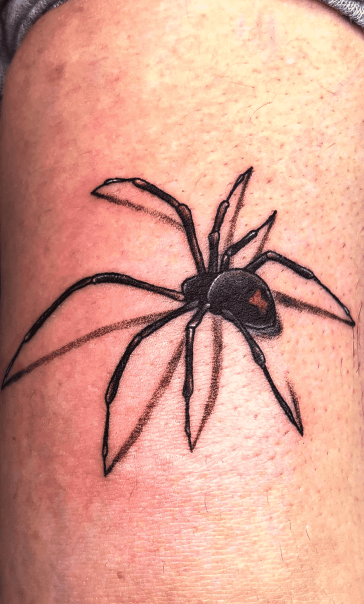 Spider Tattoo Picture
