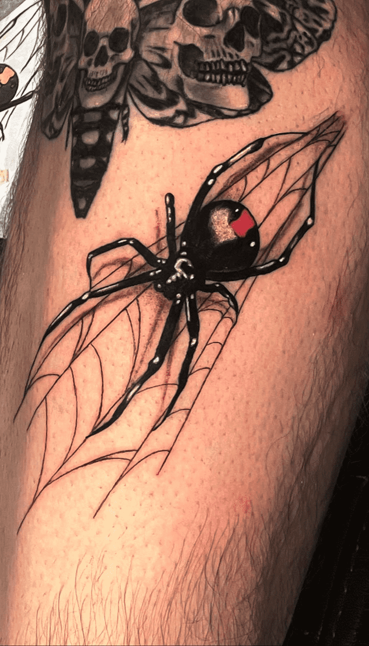 Spider Tattoo Photograph
