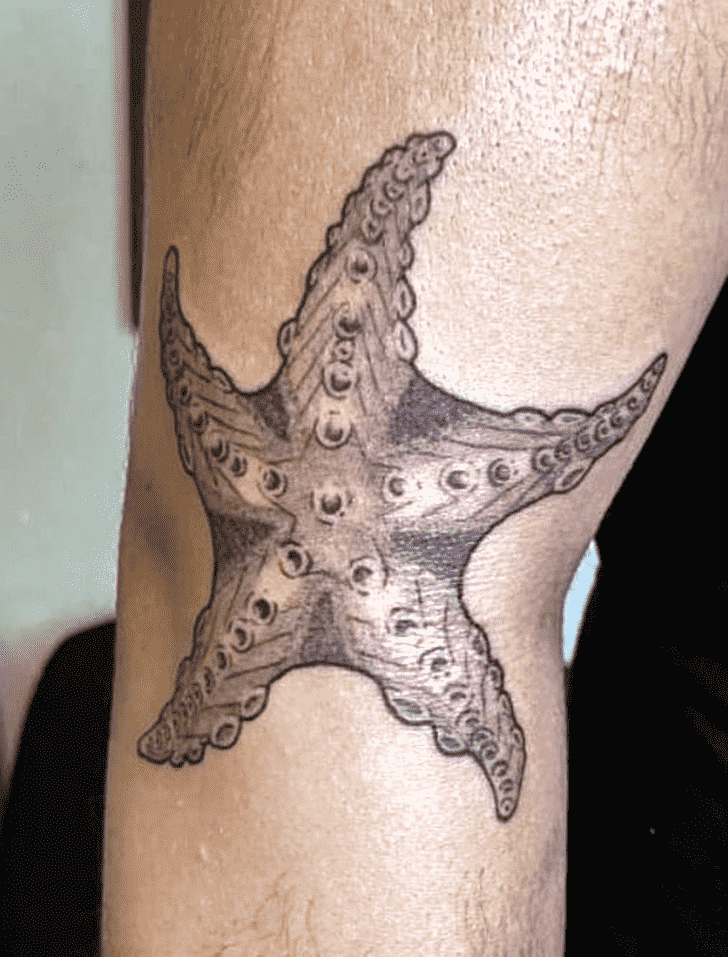 Starfish Tattoo Snapshot