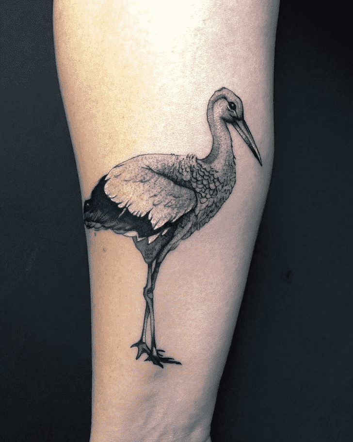 Stork Tattoo Photos