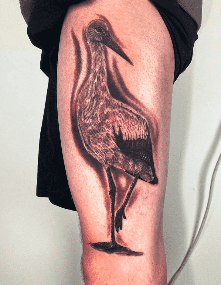 Stork Tattoo Photograph