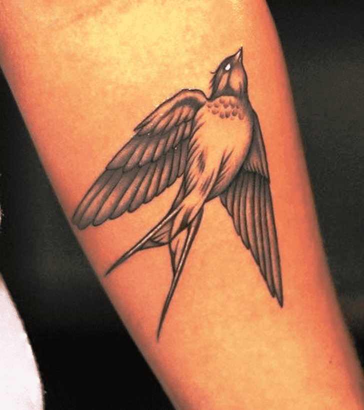 Swallow Bird Tattoo Ink