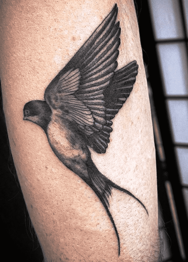 Swallow Bird Tattoo Snapshot