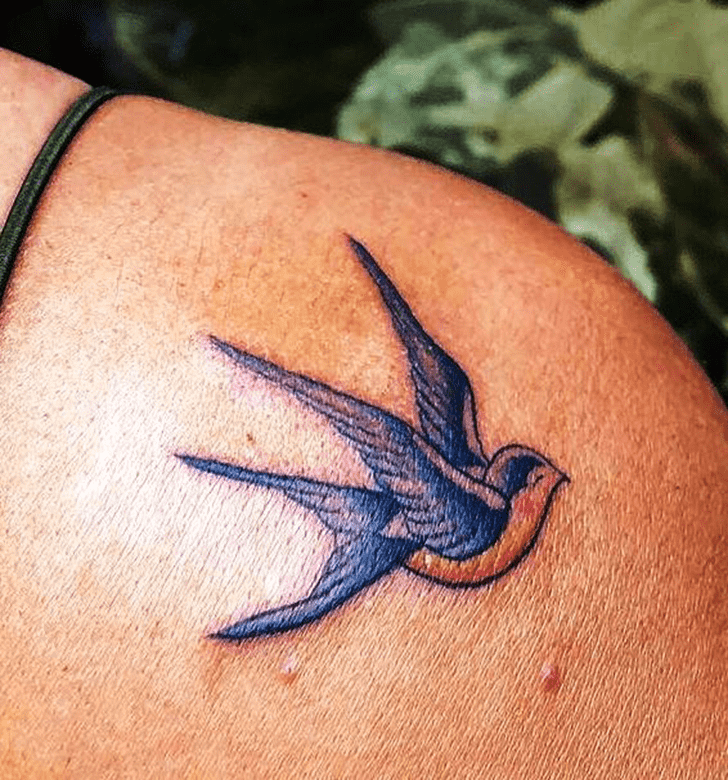 Swallow Bird Tattoo Photos