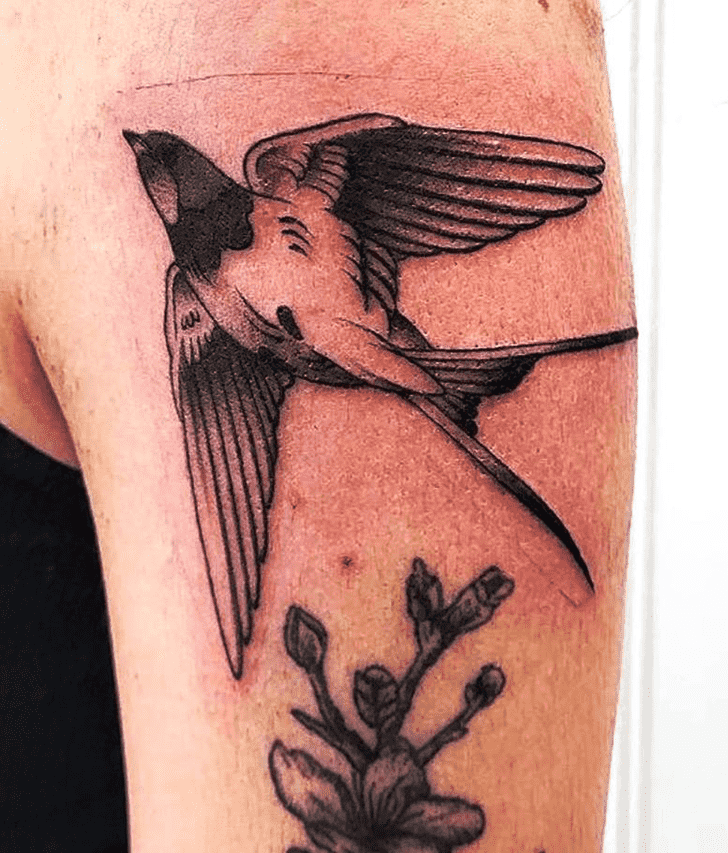 Swallow Bird Tattoo Shot
