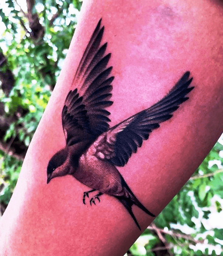 Swallow Bird Tattoo Photo