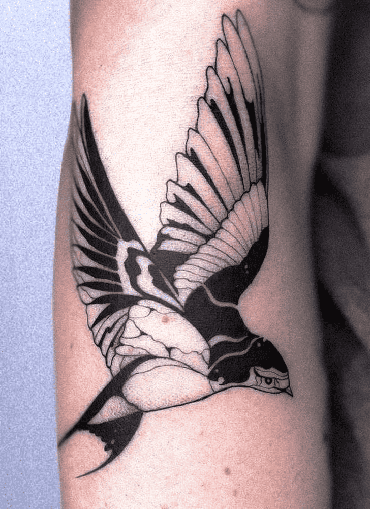 Swallow Bird Tattoo Shot