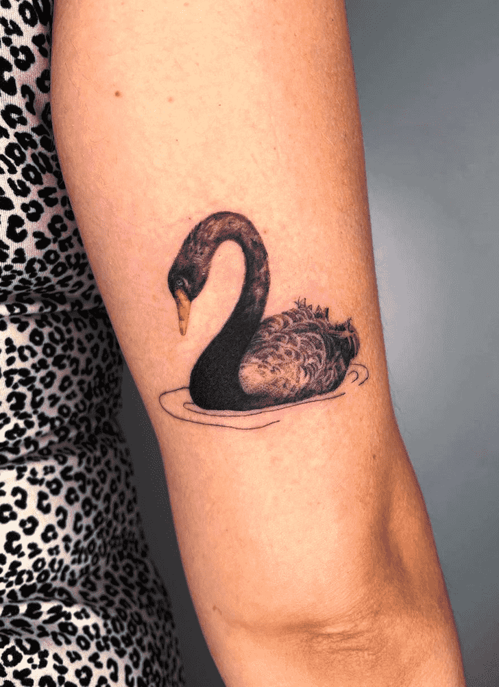 Swan Tattoo Photograph