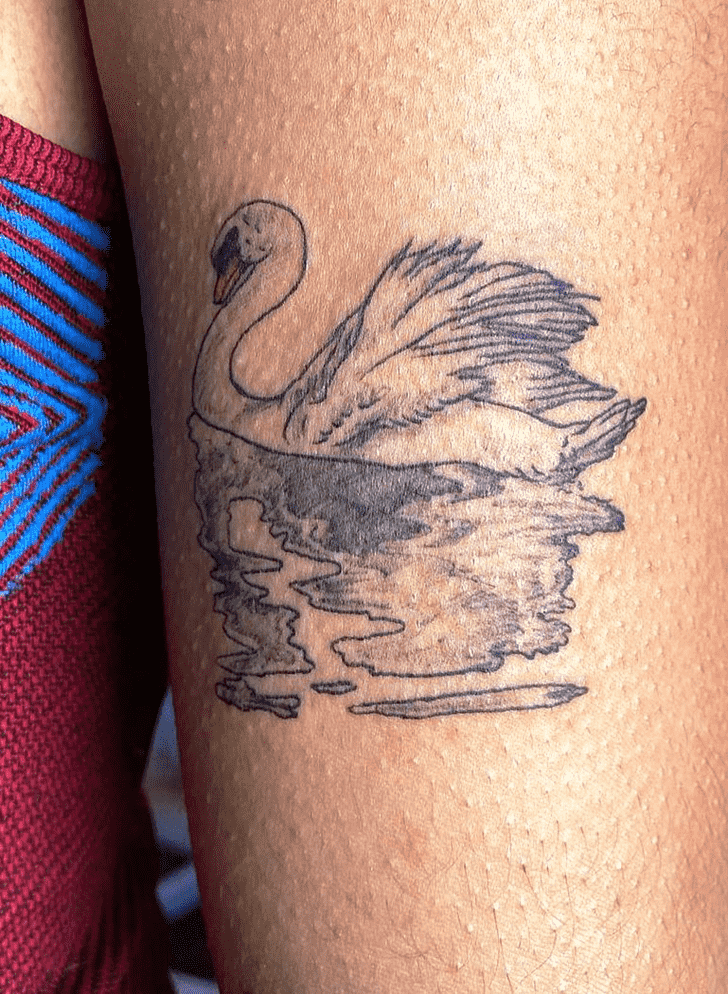 Swan Tattoo Portrait