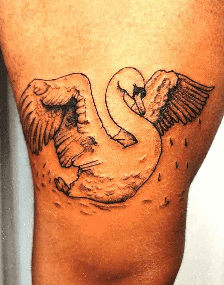 Swan Tattoo Snapshot