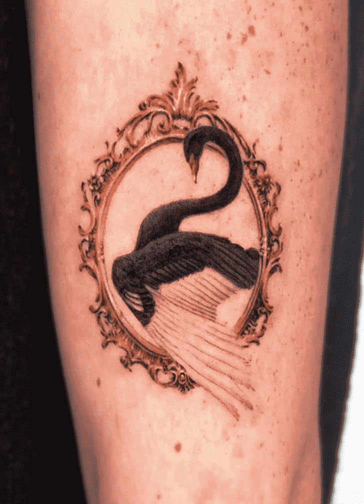 Swan Tattoo Photos