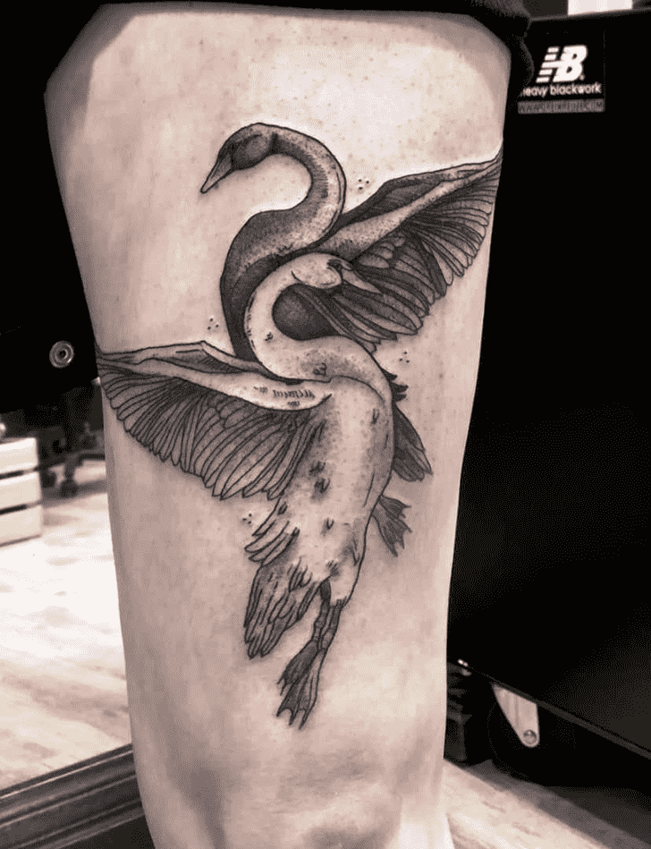 Swan Tattoo Snapshot