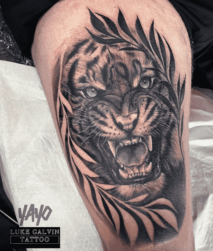 Tiger Tattoo Photograph