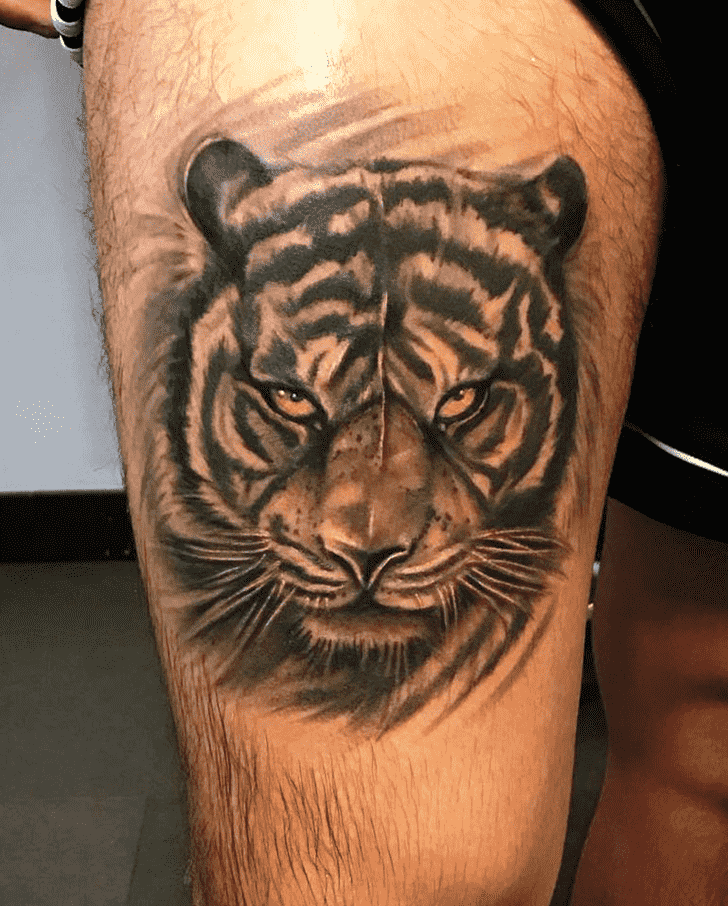 Tiger Tattoo Photo