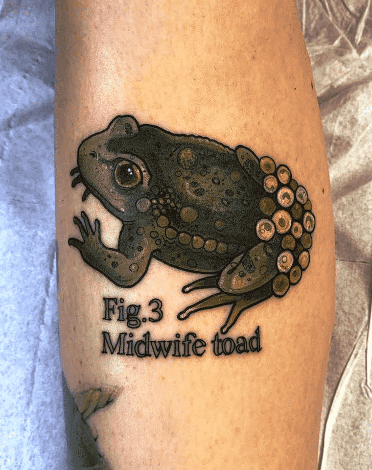 Toad Tattoo Design Image