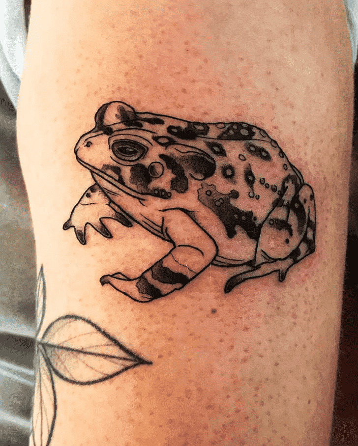 Toad Tattoo Photograph