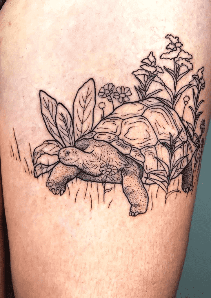 Tortoise Tattoo Picture