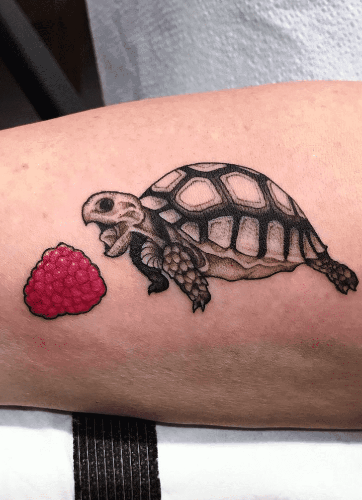 Tortoise Tattoo Design Image