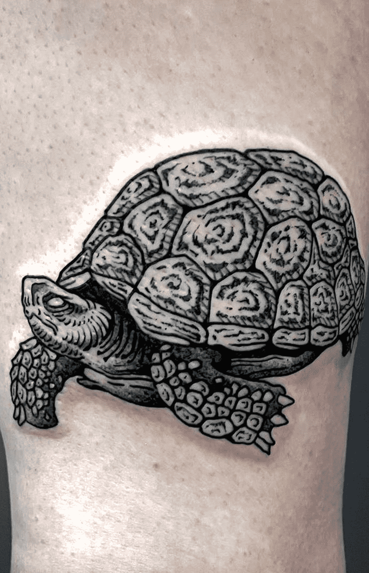 Tortoise Tattoo Shot