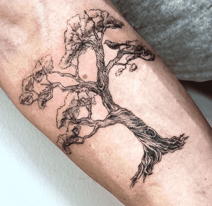 Tree Tattoo Photos
