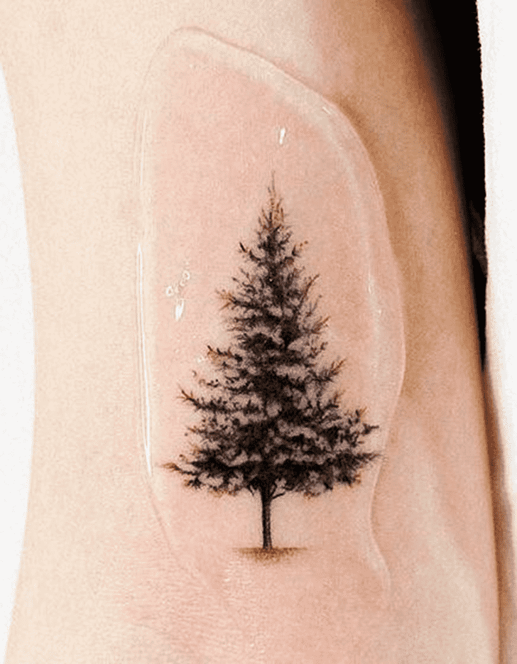 Tree Tattoo Photograph