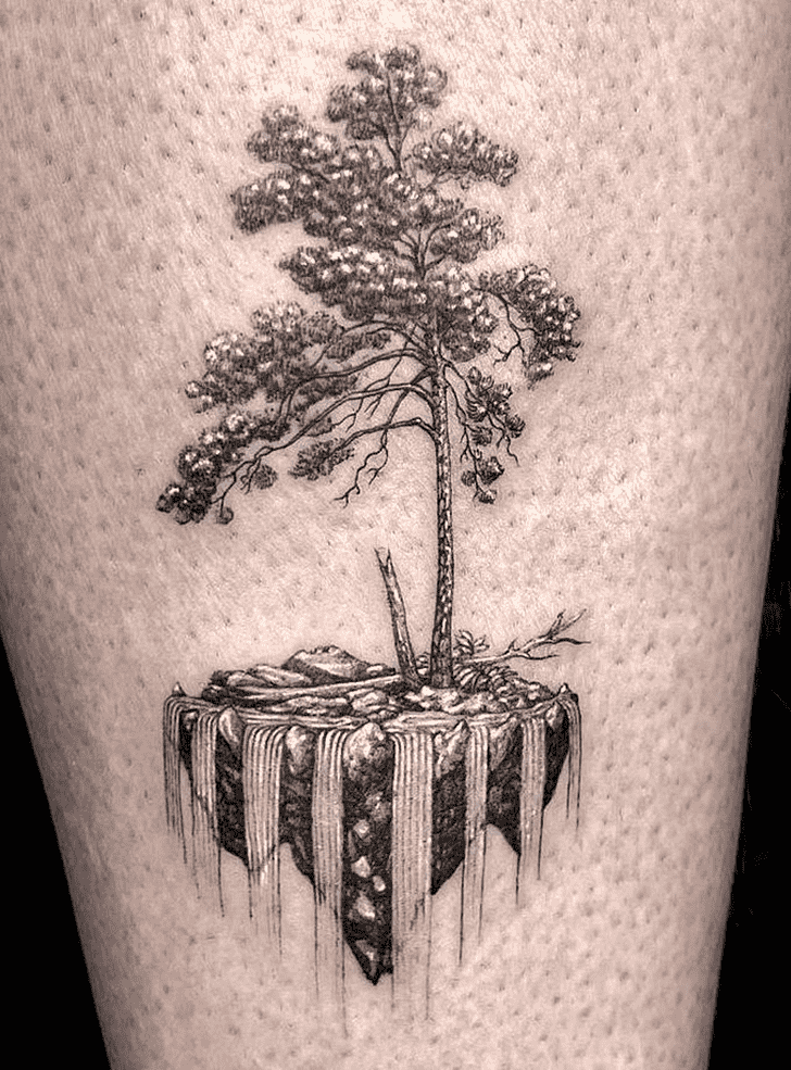 Tree Tattoo Shot