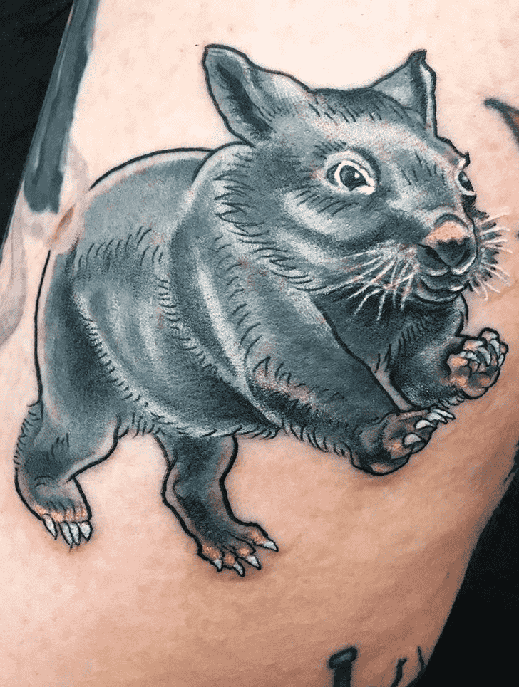 Wombat Tattoo Shot