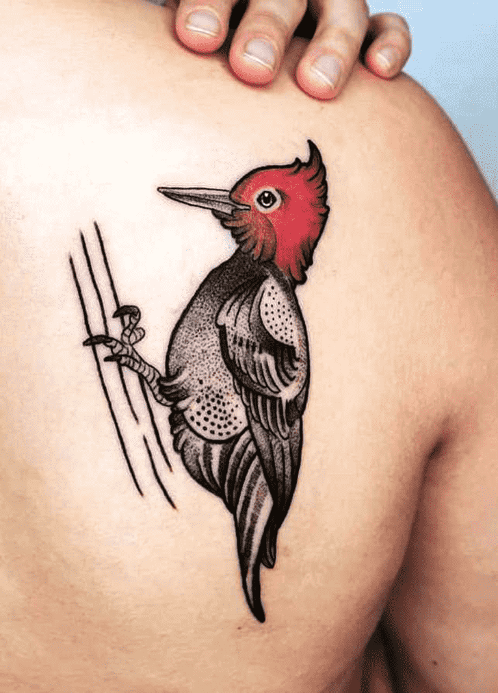 Woodpecker Tattoo Photograph