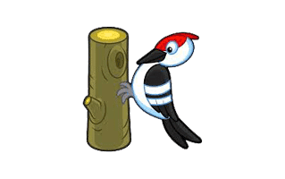 Woodpecker Tattoo Ideas